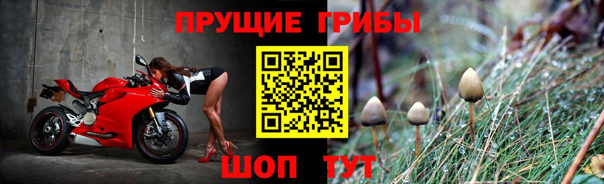 Псилоцибиновые грибы Cubensis Ирбит